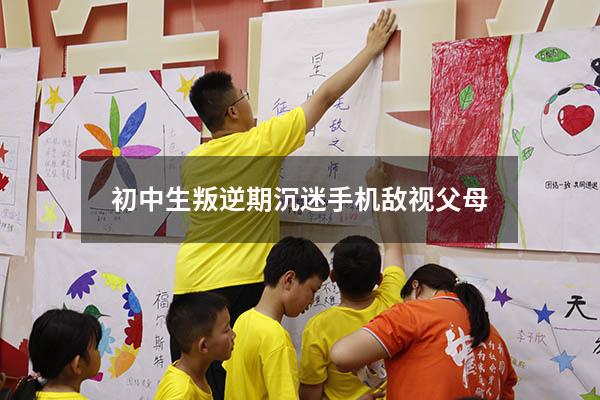 初中生叛逆期沉迷手机敌视父母（叛逆期玩手机上瘾怎么办）