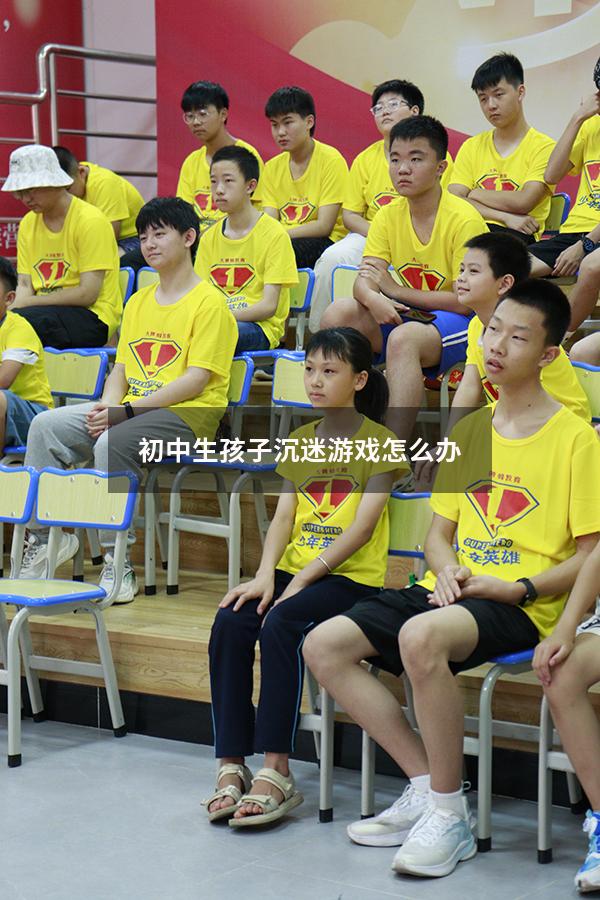 初中生孩子沉迷游戏怎么办