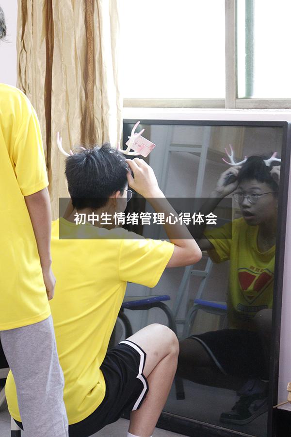 初中生情绪管理心得体会