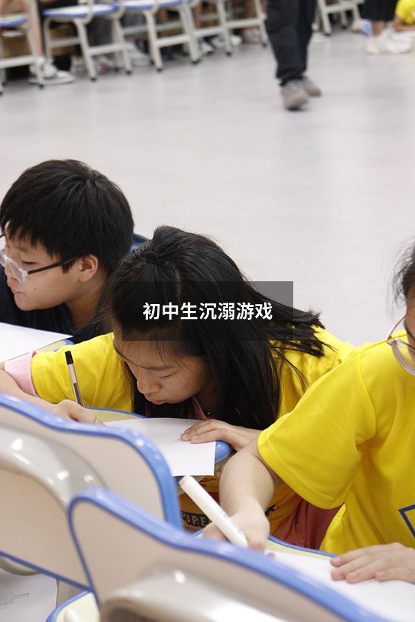 初中生沉溺游戏