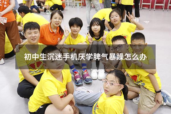 初中生沉迷手机厌学脾气暴躁怎么办