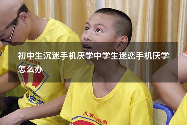初中生沉迷手机厌学（中学生迷恋手机厌学怎么办）