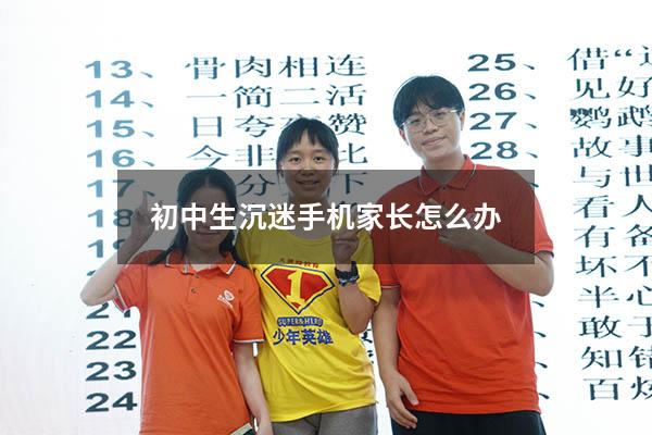 初中生沉迷手机家长怎么办
