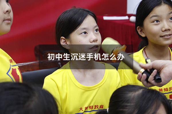 初中生沉迷手机怎么办