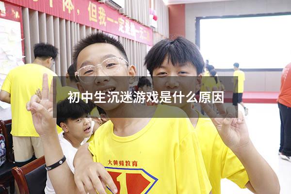 初中生沉迷游戏是什么原因