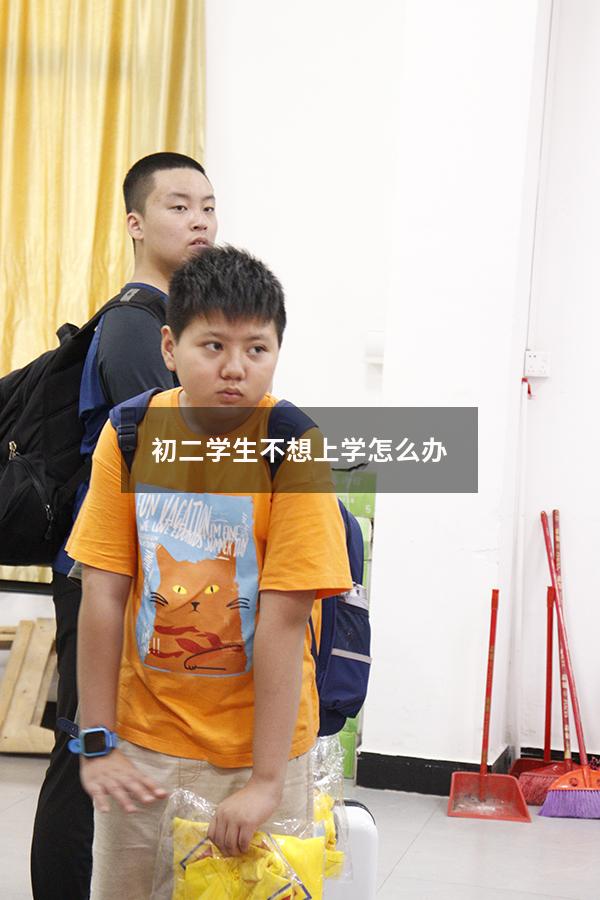初二学生不想上学怎么办（初二不肯去上学怎么办）
