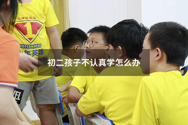初二孩子不认真学怎么办？（初二孩子不爱学怎么办错了也不改）