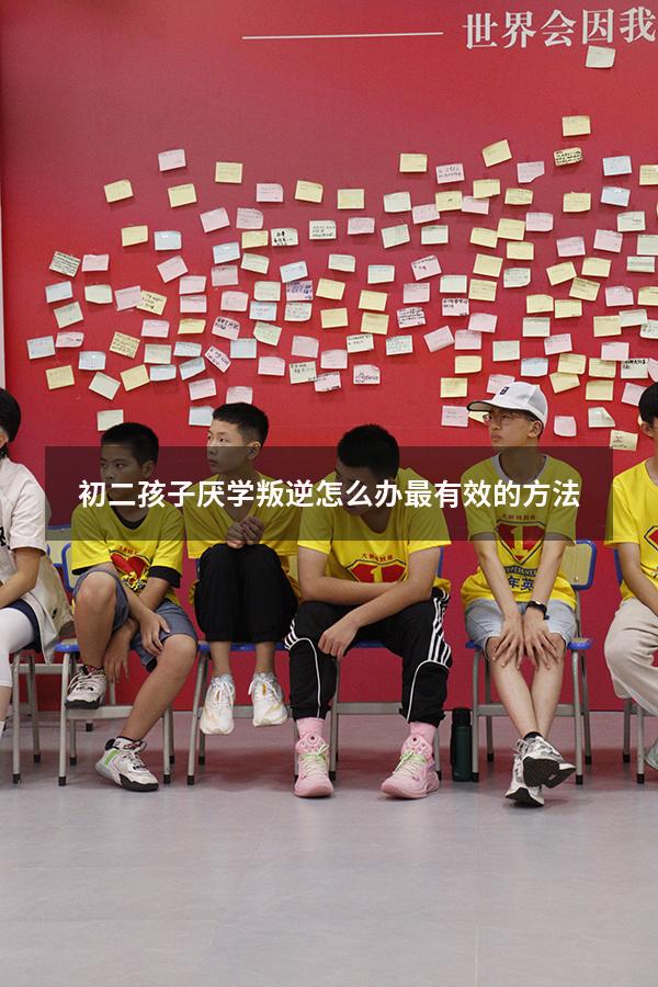 初二孩子厌学叛逆怎么办最有效的方法