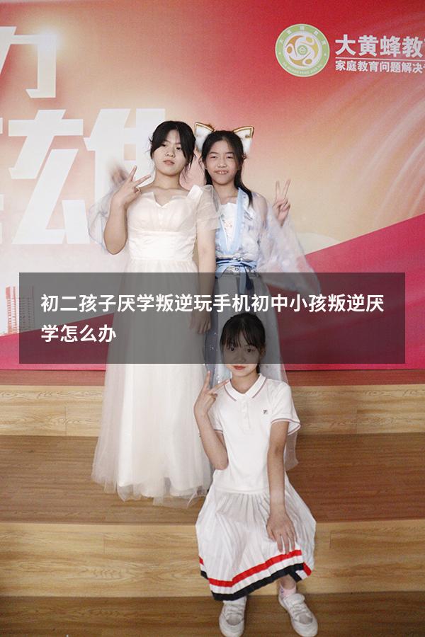 初二孩子厌学叛逆玩手机（初中小孩叛逆厌学怎么办）