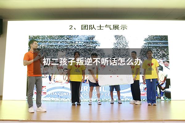 初二孩子叛逆不听话怎么办
