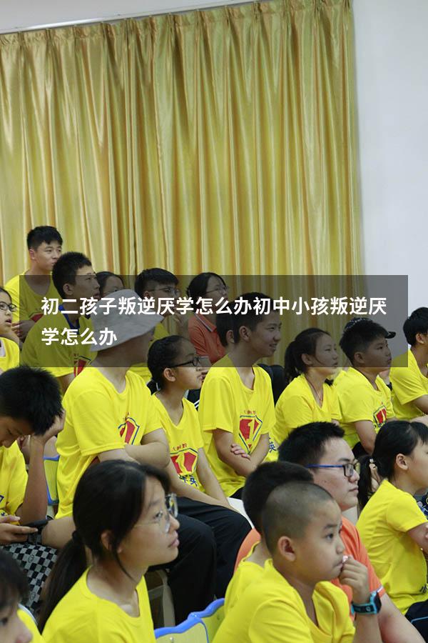 初二孩子叛逆厌学怎么办（初中小孩叛逆厌学怎么办）