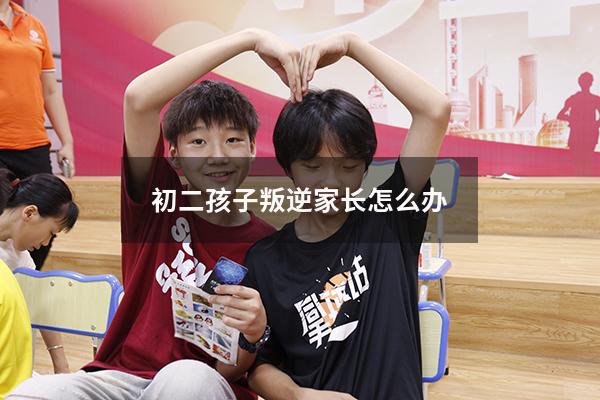 初二孩子叛逆家长怎么办