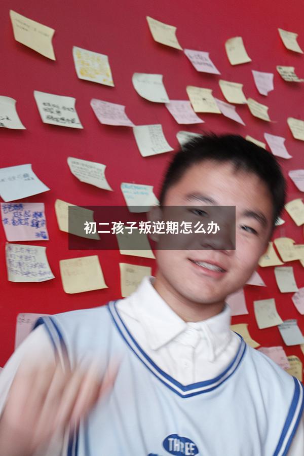 初二孩子叛逆期怎么办