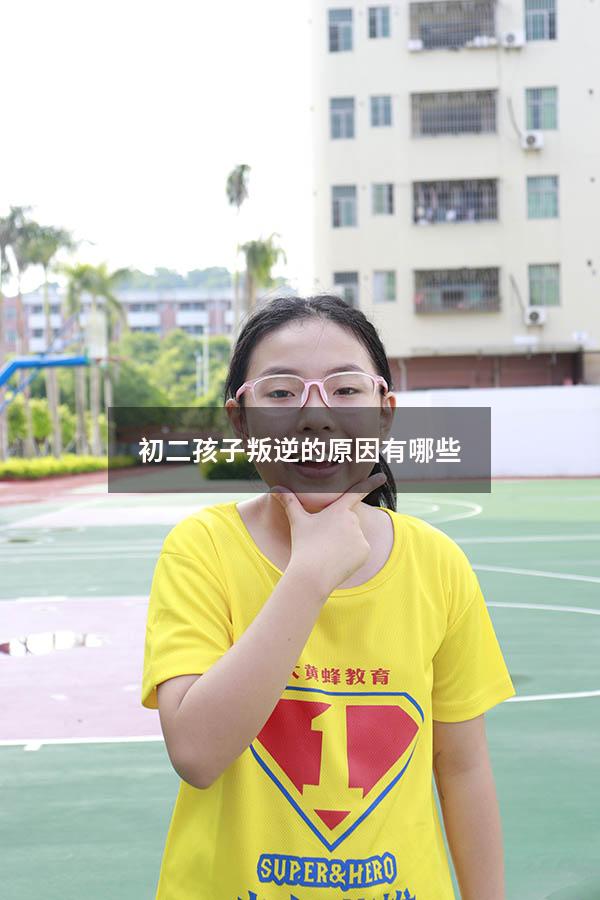 初二孩子叛逆的原因有哪些
