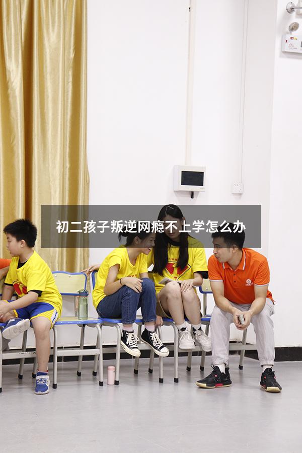 初二孩子叛逆网瘾不上学怎么办
