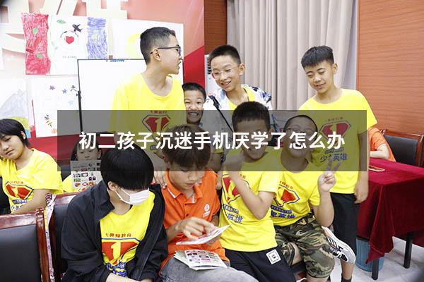 初二孩子沉迷手机厌学了怎么办