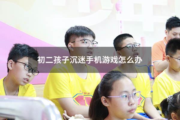 初二孩子沉迷手机游戏怎么办