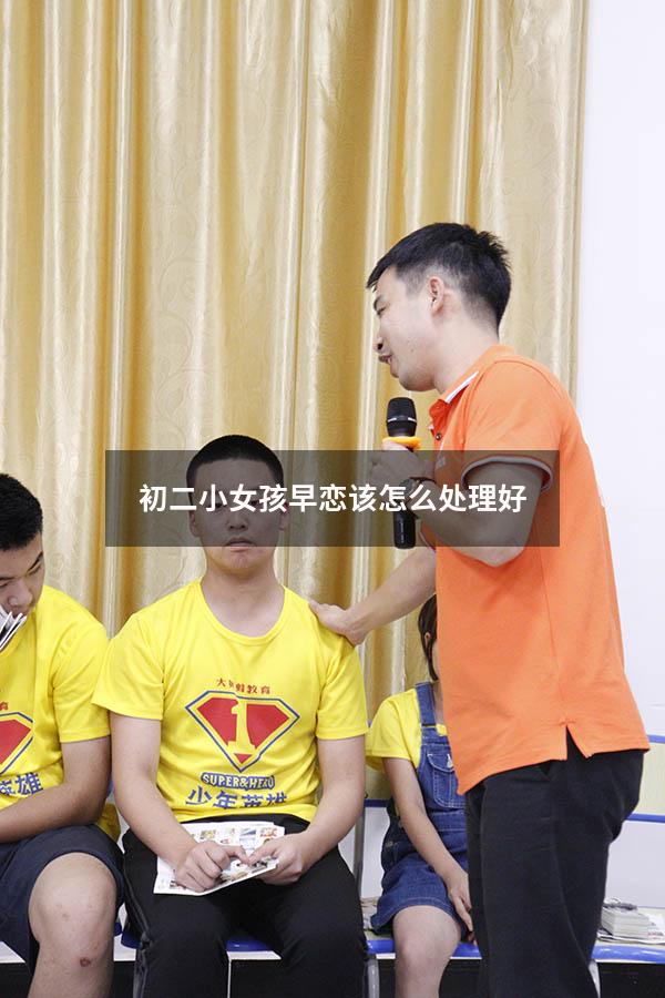 初二小女孩早恋该怎么处理好