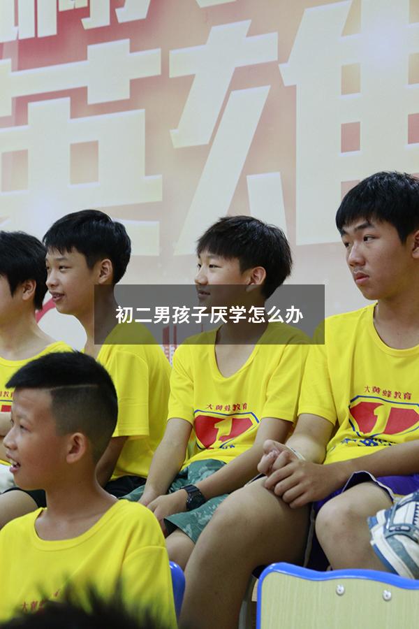 初二男孩子厌学怎么办