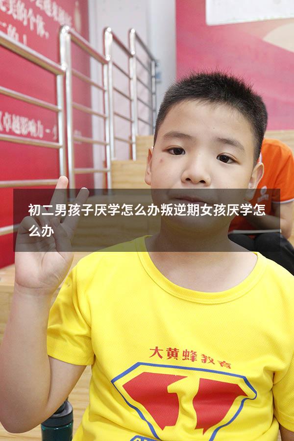 初二男孩子厌学怎么办（叛逆期女孩厌学怎么办）