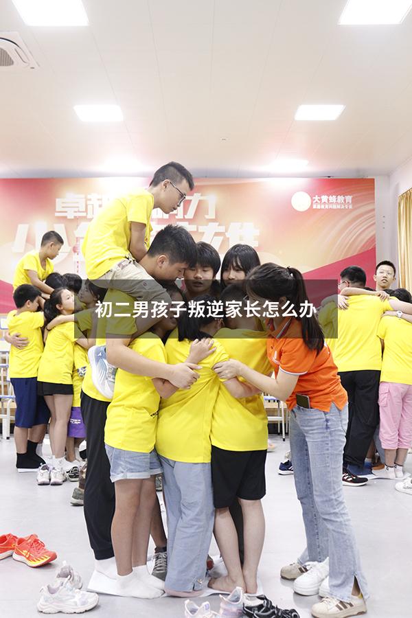 初二男孩子叛逆家长怎么办