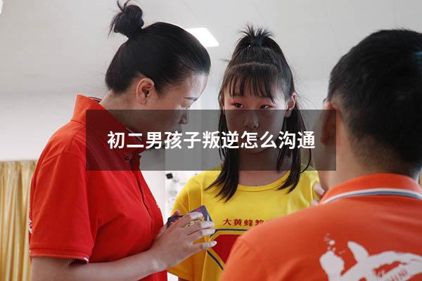 初二男孩子叛逆怎么沟通（12岁叛逆期怎么沟通）