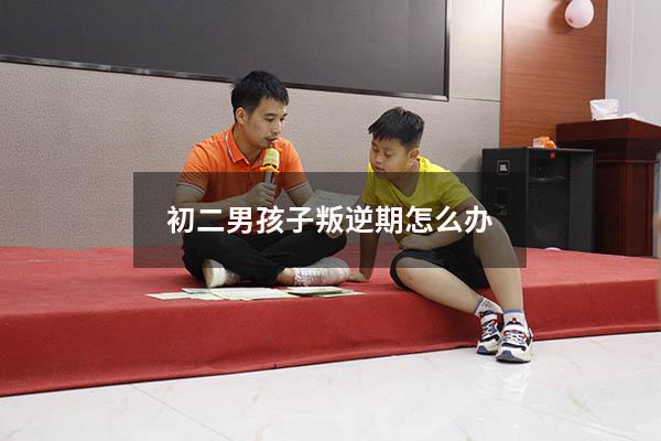 初二男孩子叛逆期怎么办