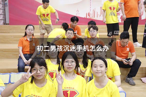 初二男孩沉迷手机怎么办