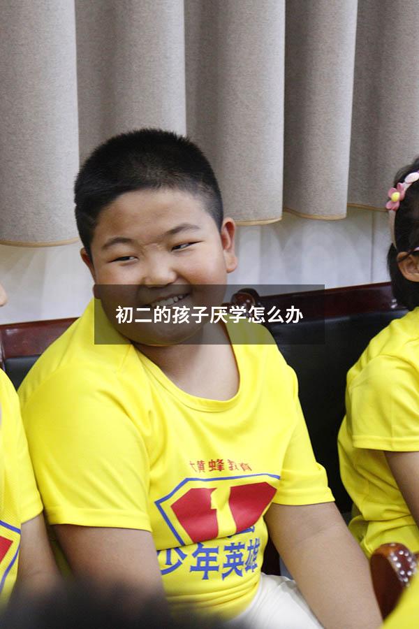 初二的孩子厌学怎么办（针对孩子厌学有什么好办法吗）