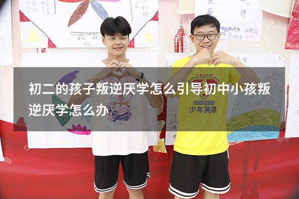 初二的孩子叛逆厌学怎么引导（初中小孩叛逆厌学怎么办）