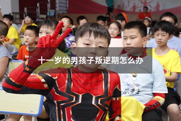 十一岁的男孩子叛逆期怎么办