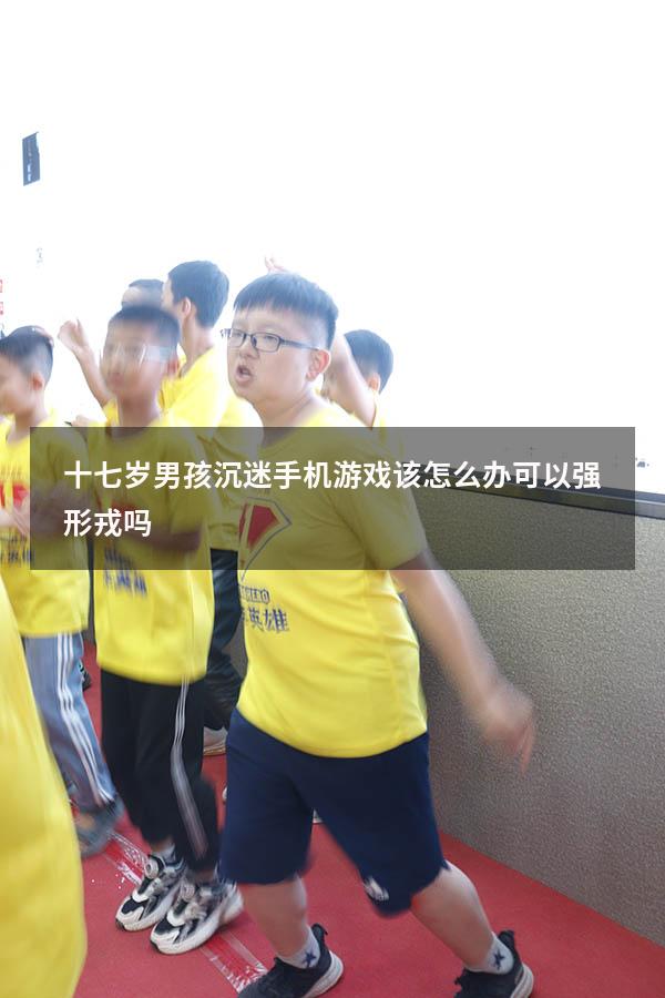 十七岁男孩沉迷手机游戏该怎么办可以强形戎吗