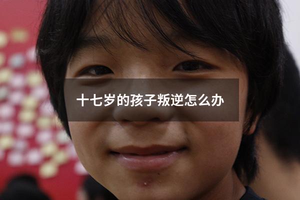 十七岁的孩子叛逆怎么办