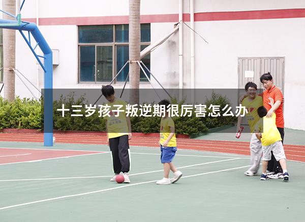 十三岁孩子叛逆期很厉害怎么办（13岁叛逆期的孩子怎么去引导）