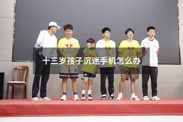 十三岁孩子沉迷手机怎么办（12岁女孩沉迷手机怎么办）