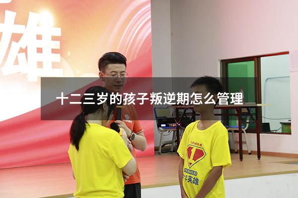 十二三岁的孩子叛逆期怎么管理
