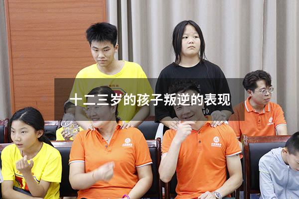 十二三岁的孩子叛逆的表现