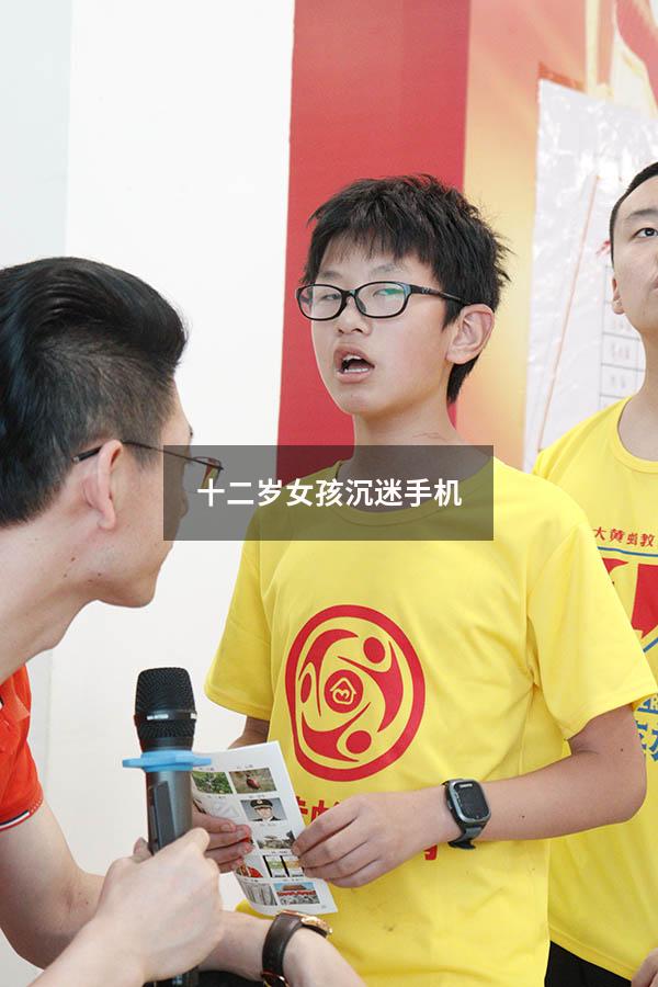 十二岁女孩沉迷手机（12岁女孩沉迷手机怎么办）