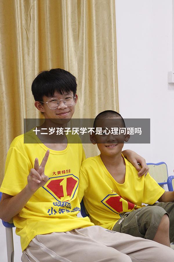 十二岁孩子厌学不是心理问题吗