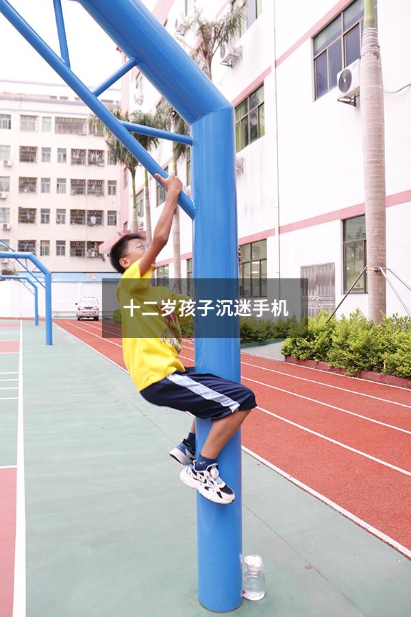 十二岁孩子沉迷手机