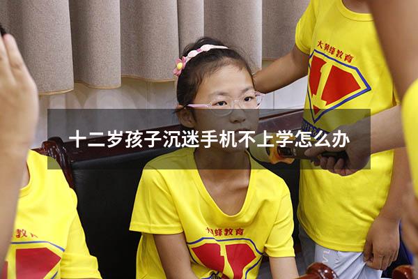 十二岁孩子沉迷手机不上学怎么办（12岁女孩沉迷手机怎么办）
