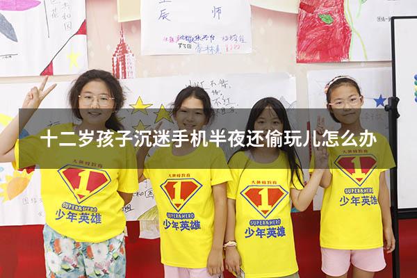 十二岁孩子沉迷手机半夜还偷玩儿怎么办