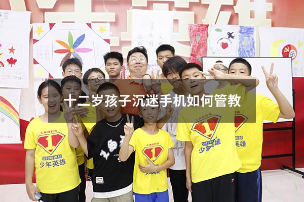 十二岁孩子沉迷手机如何管教