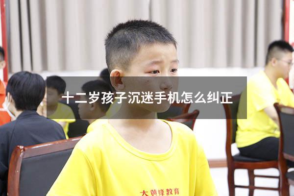 十二岁孩子沉迷手机怎么纠正（12岁女孩沉迷手机怎么办）