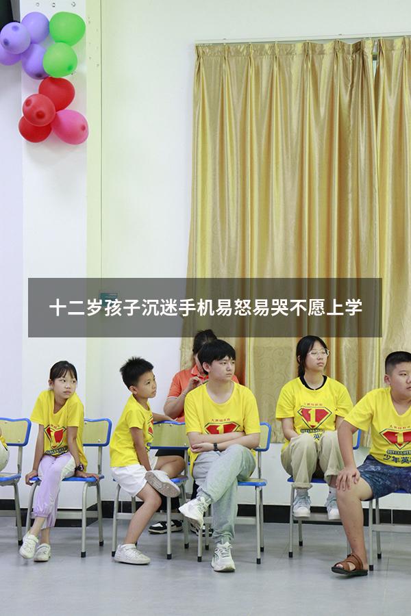 十二岁孩子沉迷手机易怒易哭不愿上学