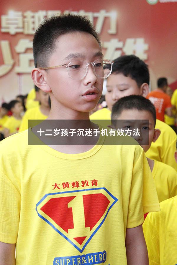 十二岁孩子沉迷手机有效方法
