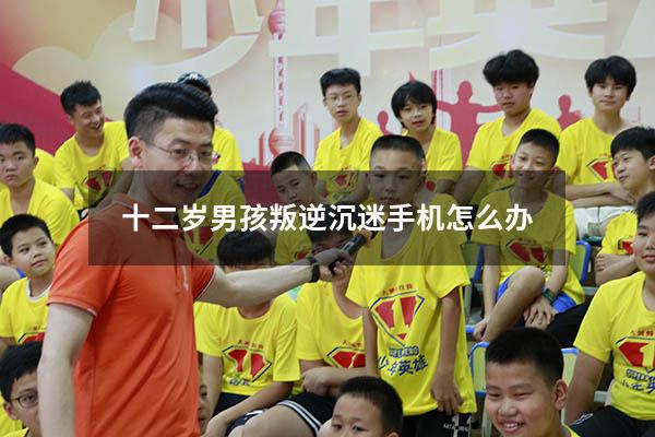 十二岁男孩叛逆沉迷手机怎么办