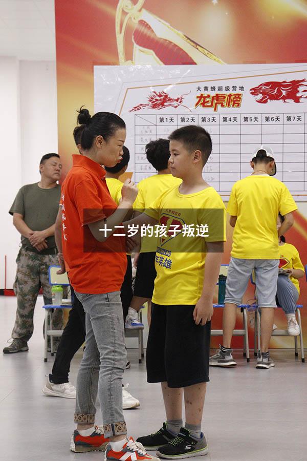 十二岁的孩子叛逆