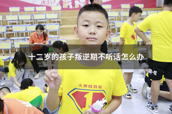 十二岁的孩子叛逆期不听话怎么办