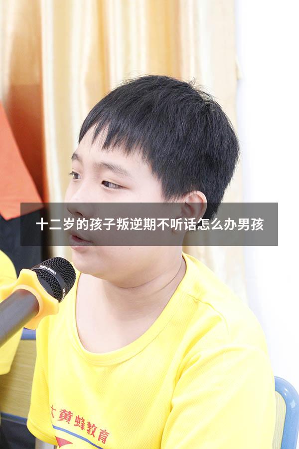 十二岁的孩子叛逆期不听话怎么办男孩